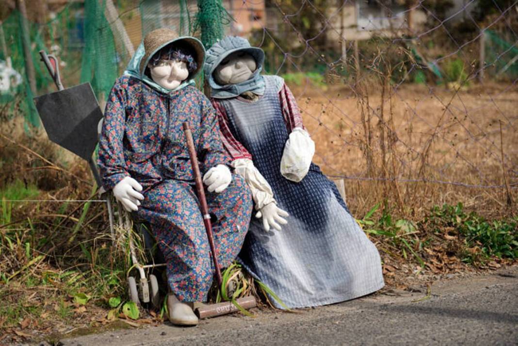 Bu köye gelenler gözlerine inanamıyor: Tüyler ürperten manzara! Hepsi yetişkin insan boyutlarında 26